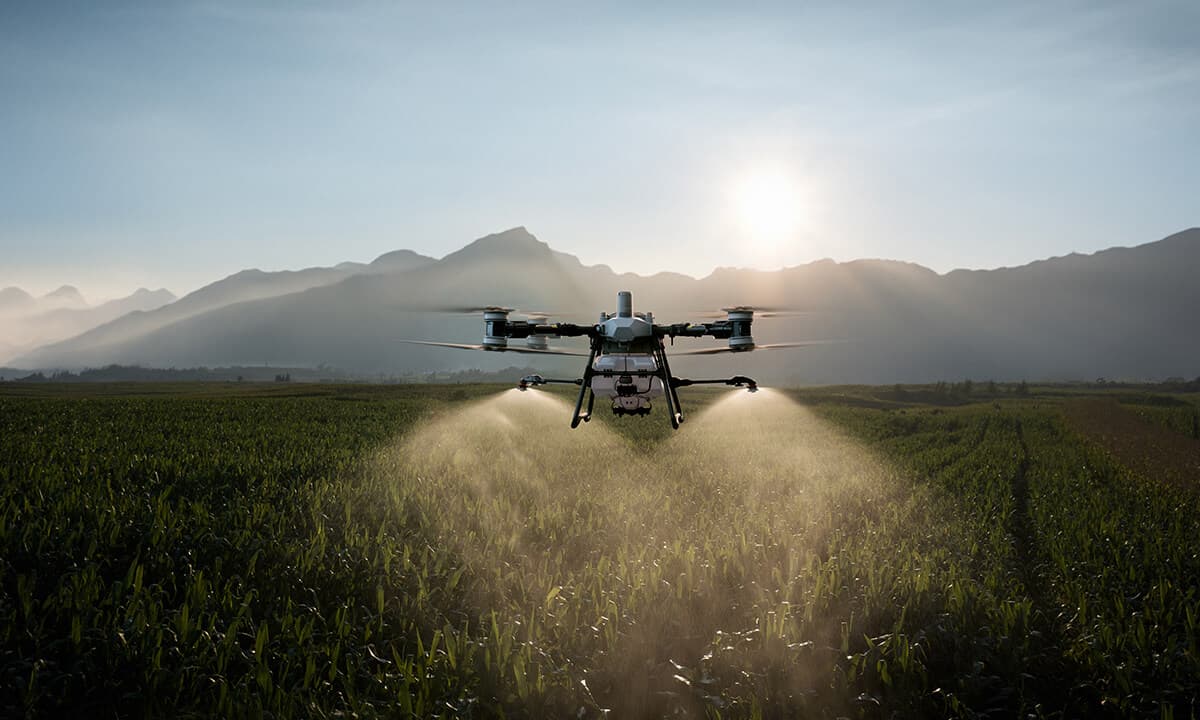 An agricultural spray drone fanning mist over a cornfield
