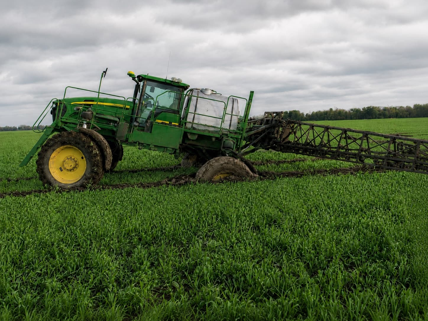 A ground sprayer working a green field, its wheels cutting ruts through the crop