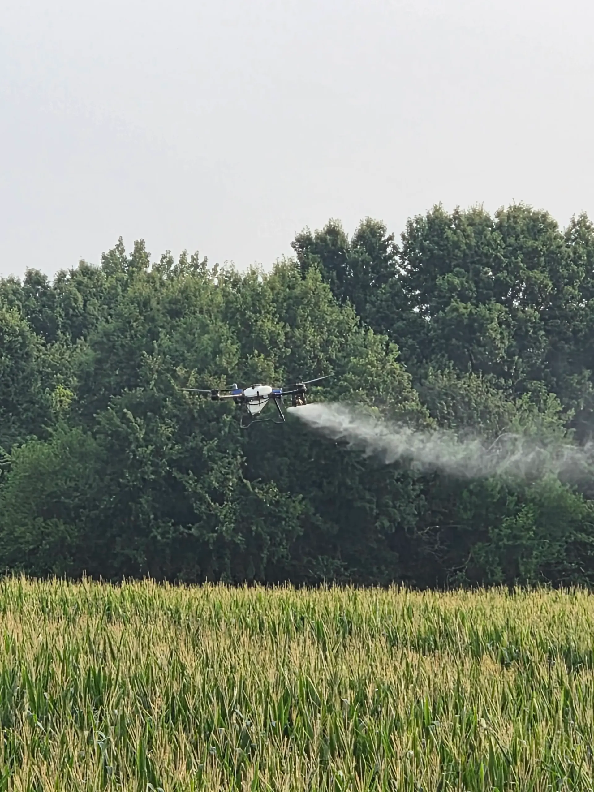 Hazel Hill Drone Services LLC